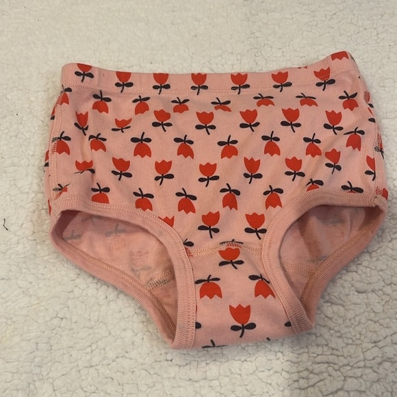 Hanna Andersson girls undies NWT - Picture 5 of 5